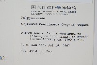 擬芨瓦葦藏品圖，第2張