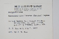 擬芨瓦葦藏品圖，第2張