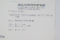 瓦葦藏品圖，第2張