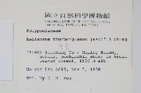 瓦葦藏品圖，第2張