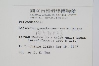 擬烏蘇里瓦葦藏品圖，第2張