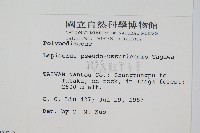 擬烏蘇里瓦葦藏品圖，第2張