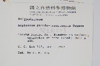 擬烏蘇里瓦葦藏品圖，第2張