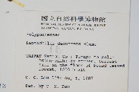 萊蕨藏品圖，第2張