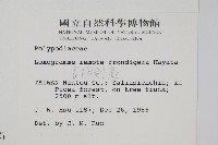 長柄劍蕨藏品圖，第2張