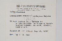 長柄劍蕨藏品圖，第2張