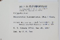 波氏星蕨藏品圖，第2張