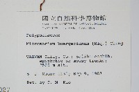 波氏星蕨藏品圖，第2張