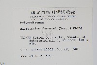 大星蕨藏品圖，第2張