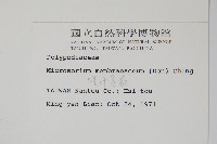 膜葉星蕨藏品圖，第2張