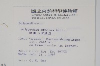 阿里山水龍骨藏品圖，第2張