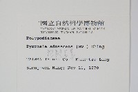 抱樹石葦藏品圖，第2張