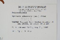 抱樹石葦藏品圖，第2張