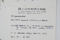 中國石葦藏品圖，第2張