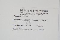 石葦藏品圖，第2張