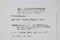 石葦藏品圖，第2張