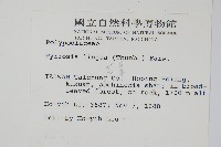 石葦藏品圖，第2張