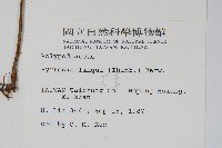 石葦藏品圖，第2張
