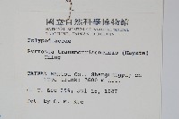 玉山石葦藏品圖，第2張