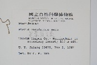 箭葉鳳尾蕨藏品圖，第2張