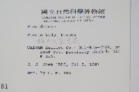 城戶氏鳳尾蕨藏品圖，第2張