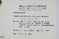 有刺鳳尾蕨藏品圖，第2張