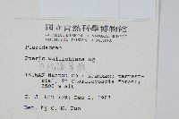 瓦氏鳳尾蕨藏品圖，第2張