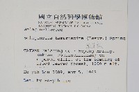 萬年松藏品圖，第2張