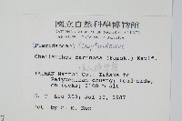 深山粉背蕨藏品圖，第2張