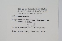 黑心蕨藏品圖，第2張