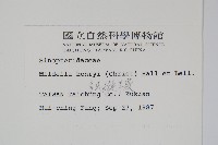 亨氏擬旱蕨藏品圖，第2張