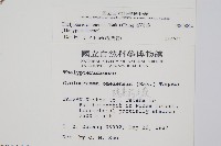 擬茯蕨藏品圖，第2張