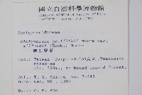 威氏聖蕨藏品圖，第2張