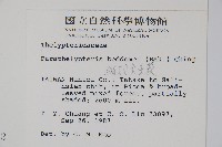 縮羽副金星蕨藏品圖，第2張