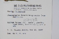 翅軸假金星蕨、短柄卵果蕨藏品圖，第2張