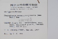 翅軸假金星蕨、短柄卵果蕨藏品圖，第2張