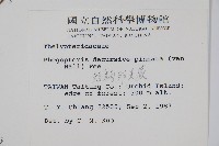 翅軸假金星蕨、短柄卵果蕨藏品圖，第2張