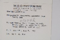 翅軸假金星蕨、短柄卵果蕨藏品圖，第2張