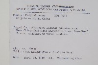 新月蕨藏品圖，第2張