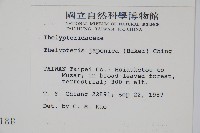 栗柄金星蕨藏品圖，第2張