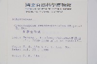 細裂羽節蕨藏品圖，第2張