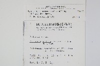 玉山石葦藏品圖，第2張