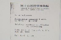 玉山卷柏藏品圖，第2張