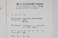 麟瓦葦、川上氏瓦葦藏品圖，第2張