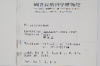 麟瓦葦、川上氏瓦葦藏品圖，第2張