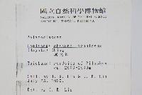 麟瓦葦、川上氏瓦葦藏品圖，第2張