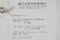 麟瓦葦、川上氏瓦葦藏品圖，第2張