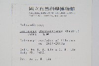 瓦葦藏品圖，第2張