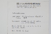 瓦葦藏品圖，第2張