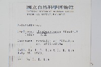 瓦葦藏品圖，第2張